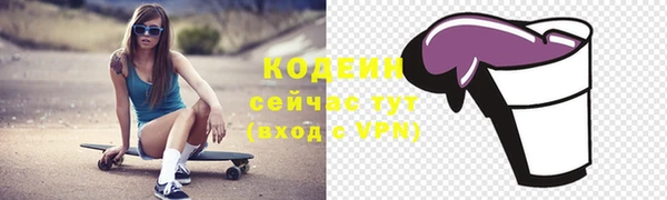 мет Каменка