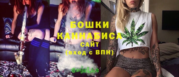 мет Каменка