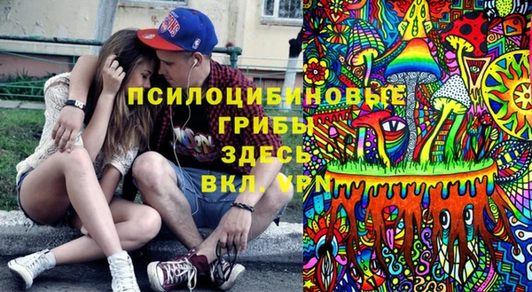 мет Каменка