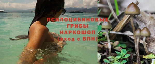 альфа пвп Каменск-Шахтинский