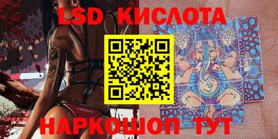эйфоретик Новодвинск
