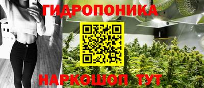 хмурый Аргун