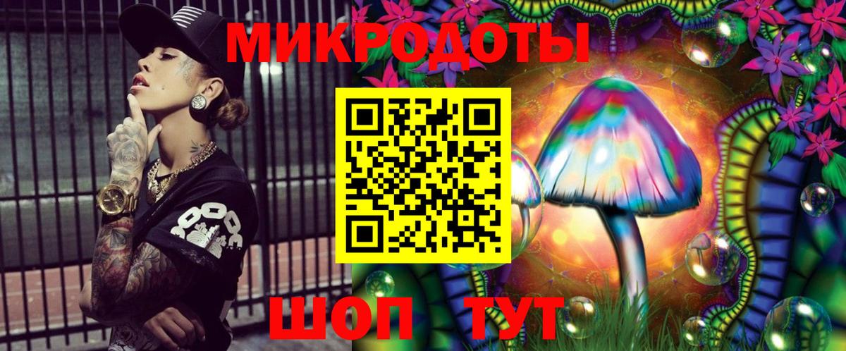 Галлюциногенные грибы прущие грибы Кондопога