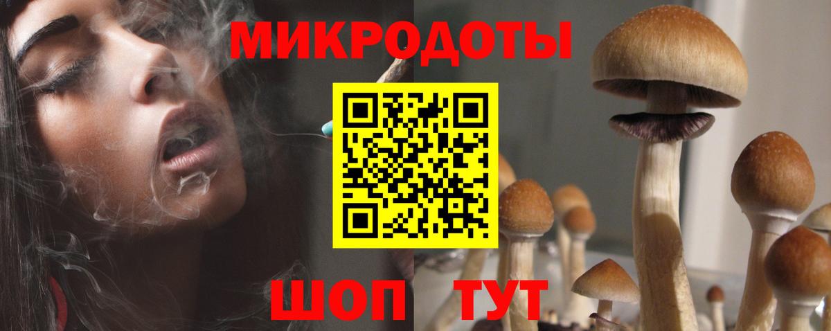 Кондопога  Псилоцибиновые грибы MAGIC MUSHROOMS  где купить наркоту  Вход с VPN 