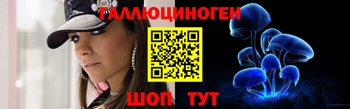 Псилоцибиновые грибы прущие грибы  Кондопога 